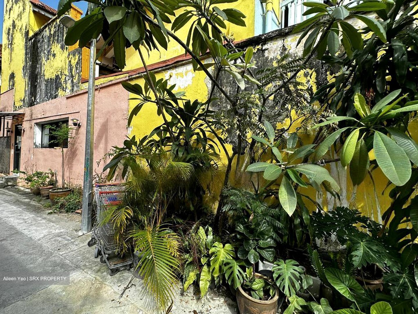 Lavender Street (D12), Retail #588077341